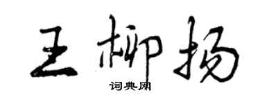 曾慶福王柳揚行書個性簽名怎么寫