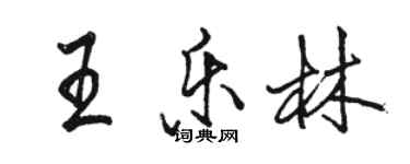 駱恆光王樂林行書個性簽名怎么寫