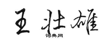 駱恆光王壯雄行書個性簽名怎么寫