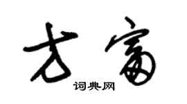 朱錫榮方富草書個性簽名怎么寫