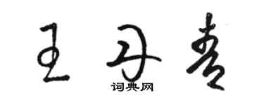 駱恆光王丹青草書個性簽名怎么寫