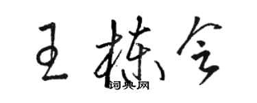 駱恆光王棟會草書個性簽名怎么寫