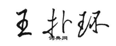 駱恆光王撲環行書個性簽名怎么寫