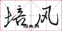 駱恆光培風行書怎么寫