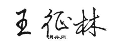 駱恆光王征林行書個性簽名怎么寫