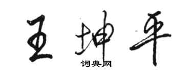 駱恆光王坤平行書個性簽名怎么寫