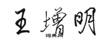 駱恆光王增明行書個性簽名怎么寫