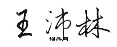 駱恆光王沛林行書個性簽名怎么寫