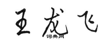 駱恆光王龍飛行書個性簽名怎么寫