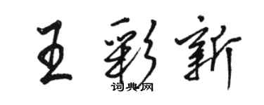 駱恆光王彩新行書個性簽名怎么寫