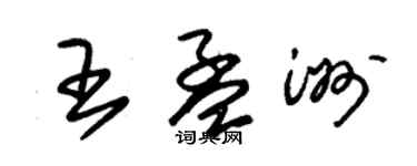 朱錫榮王孟洲草書個性簽名怎么寫