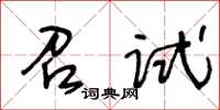 王冬齡召試草書怎么寫