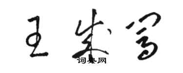 駱恆光王成闖草書個性簽名怎么寫