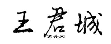 曾慶福王君城行書個性簽名怎么寫