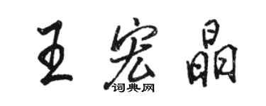 駱恆光王宏晶行書個性簽名怎么寫