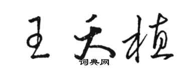 駱恆光王夭植草書個性簽名怎么寫