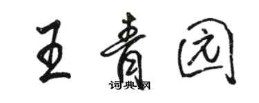 駱恆光王青園行書個性簽名怎么寫