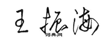 駱恆光王振海草書個性簽名怎么寫