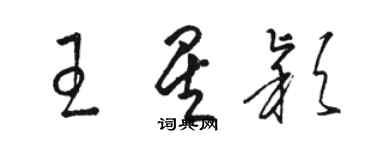 駱恆光王星穎草書個性簽名怎么寫