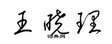 梁錦英王曉理草書個性簽名怎么寫