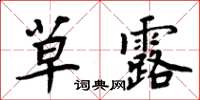 周炳元草露楷書怎么寫