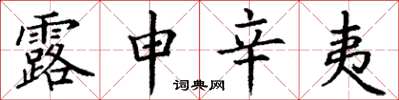 丁謙露申辛夷楷書怎么寫