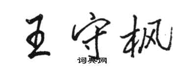 駱恆光王守楓行書個性簽名怎么寫