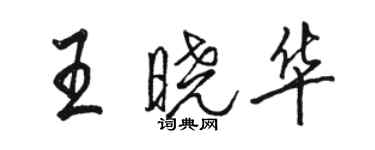 駱恆光王曉華行書個性簽名怎么寫