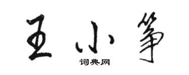 駱恆光王小箏行書個性簽名怎么寫