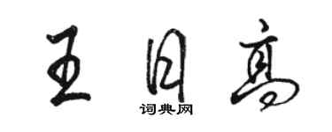 駱恆光王日高行書個性簽名怎么寫