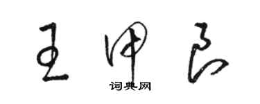 駱恆光王甲良草書個性簽名怎么寫