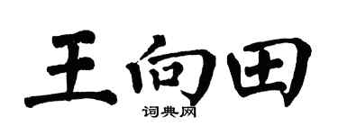 翁闓運王向田楷書個性簽名怎么寫