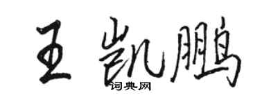 駱恆光王凱鵬行書個性簽名怎么寫