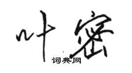 駱恆光葉密行書個性簽名怎么寫