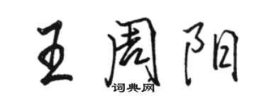 駱恆光王周陽行書個性簽名怎么寫