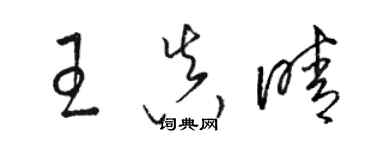 駱恆光王真晴草書個性簽名怎么寫