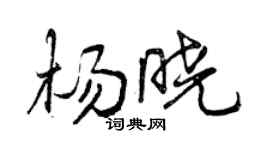 曾慶福楊曉行書個性簽名怎么寫