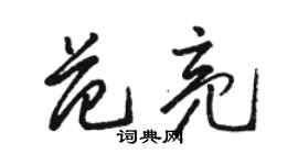 駱恆光范亮草書個性簽名怎么寫