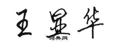 駱恆光王顯華行書個性簽名怎么寫