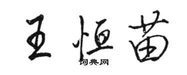 駱恆光王恆苗行書個性簽名怎么寫