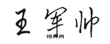 駱恆光王軍帥行書個性簽名怎么寫