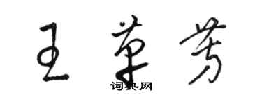 駱恆光王革芳草書個性簽名怎么寫