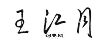 駱恆光王江月草書個性簽名怎么寫