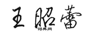 駱恆光王昭蕾行書個性簽名怎么寫