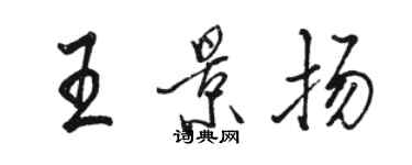 駱恆光王景揚行書個性簽名怎么寫