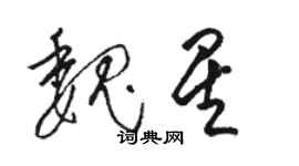 駱恆光魏星草書個性簽名怎么寫