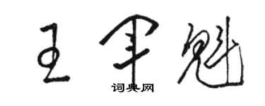 駱恆光王軍魁草書個性簽名怎么寫