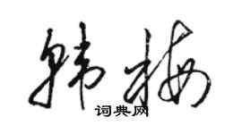 駱恆光韓梅草書個性簽名怎么寫