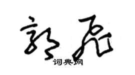朱錫榮郭飛草書個性簽名怎么寫