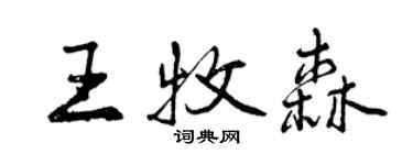 曾慶福王牧森行書個性簽名怎么寫